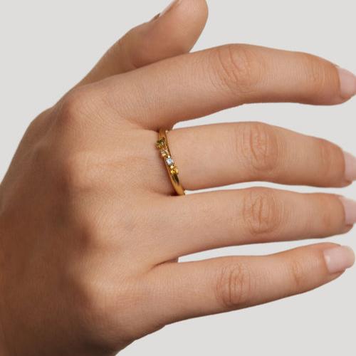 ANELLO RAINBOW WING