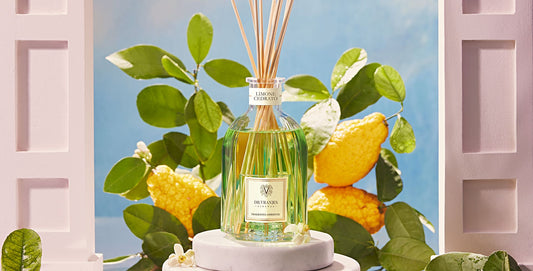 fragranza limone cedrato
