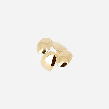 Anello Moebi