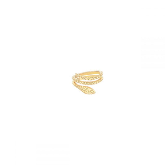 ANELLO RITORNANDO